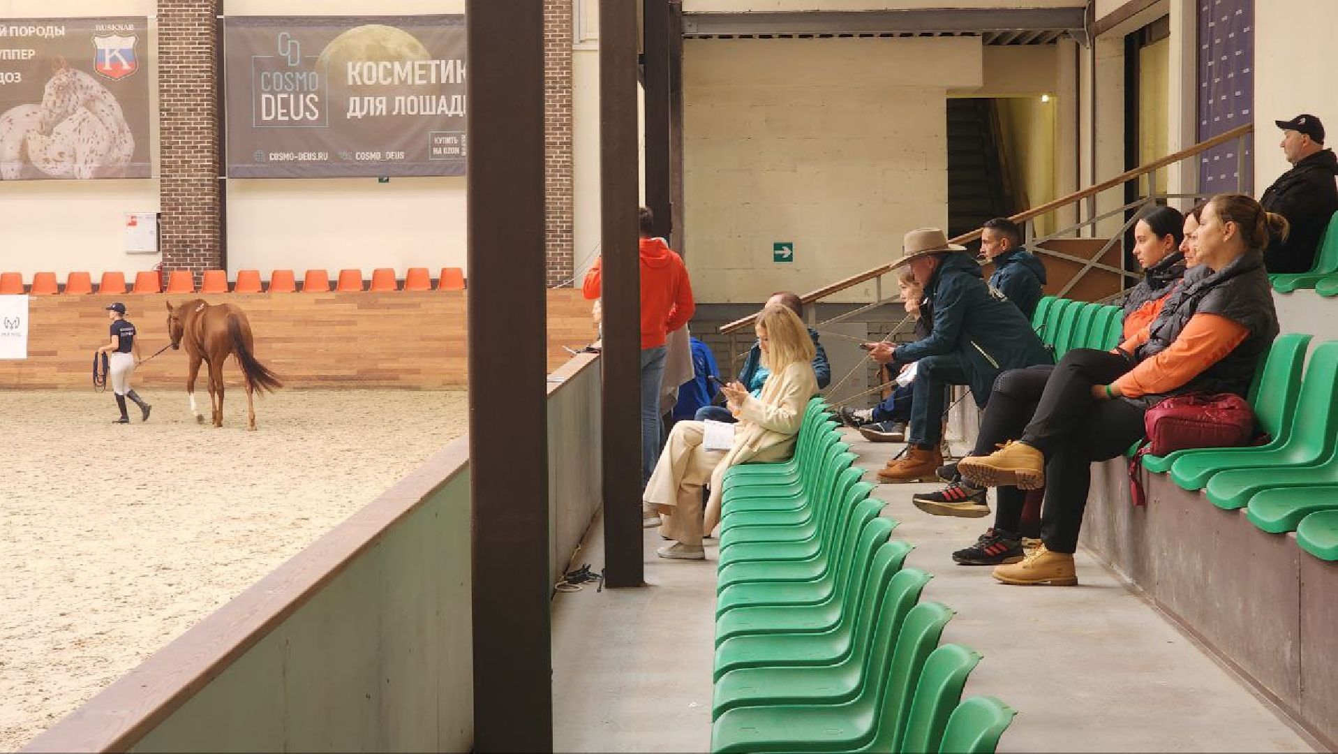 Дмитров, Максима Парк, Выставка Конная Россия,