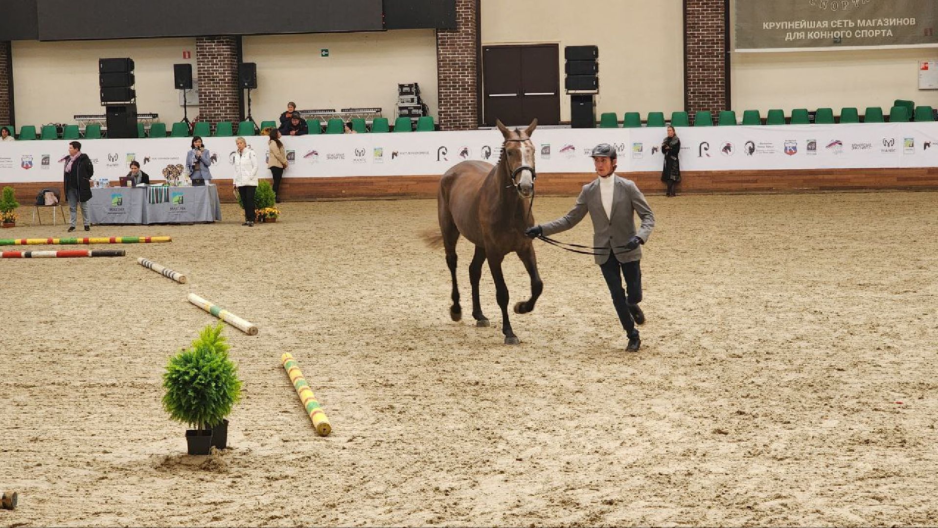 Дмитров, Максима Парк, Выставка Конная Россия,