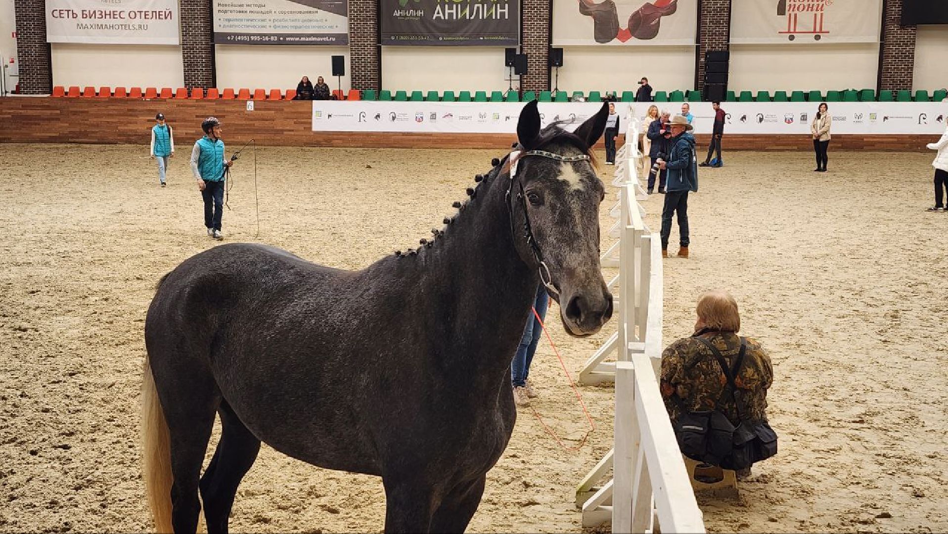 Дмитров, Максима Парк, Выставка Конная Россия,