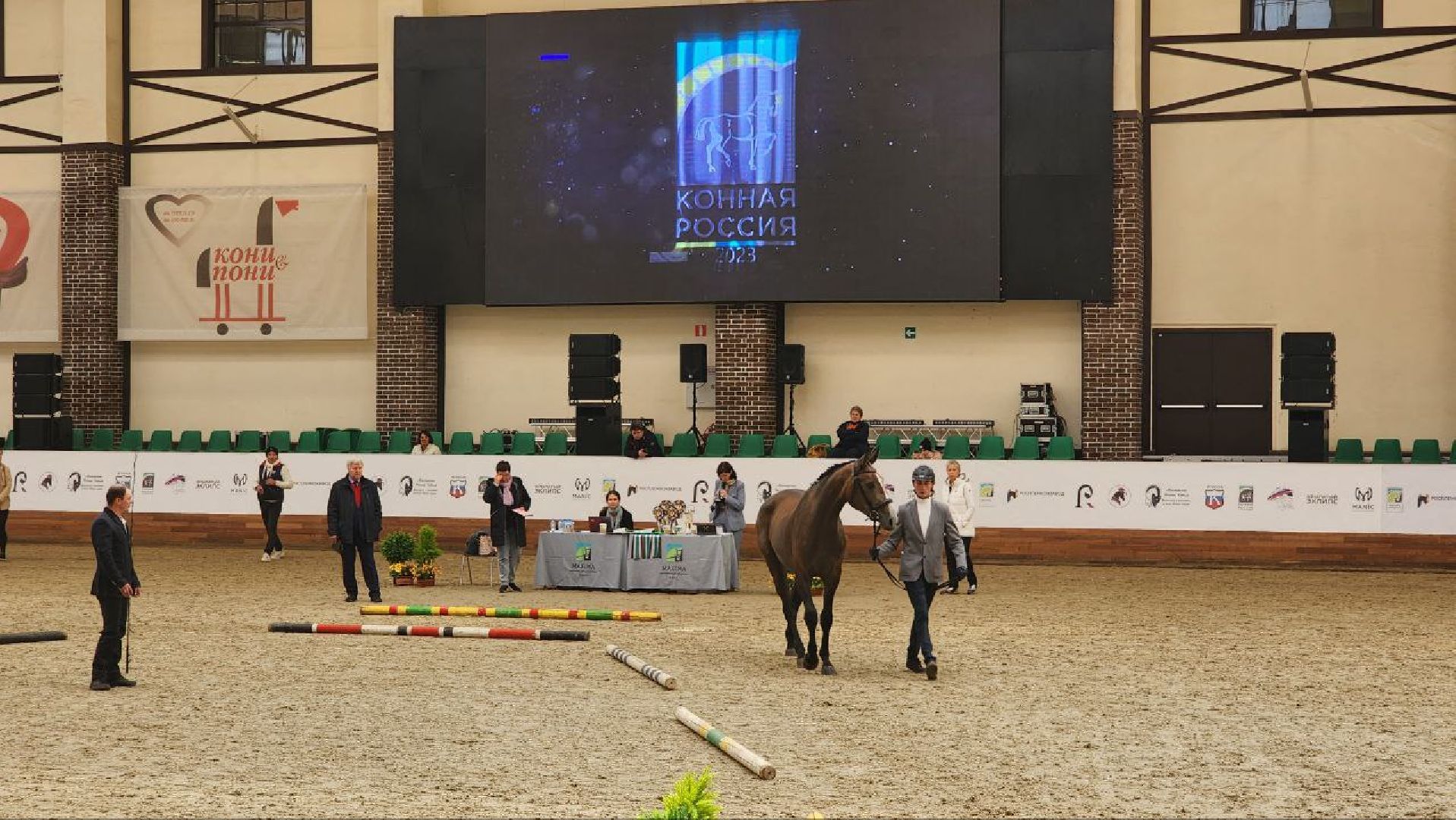 Дмитров, Максима Парк, Выставка Конная Россия,