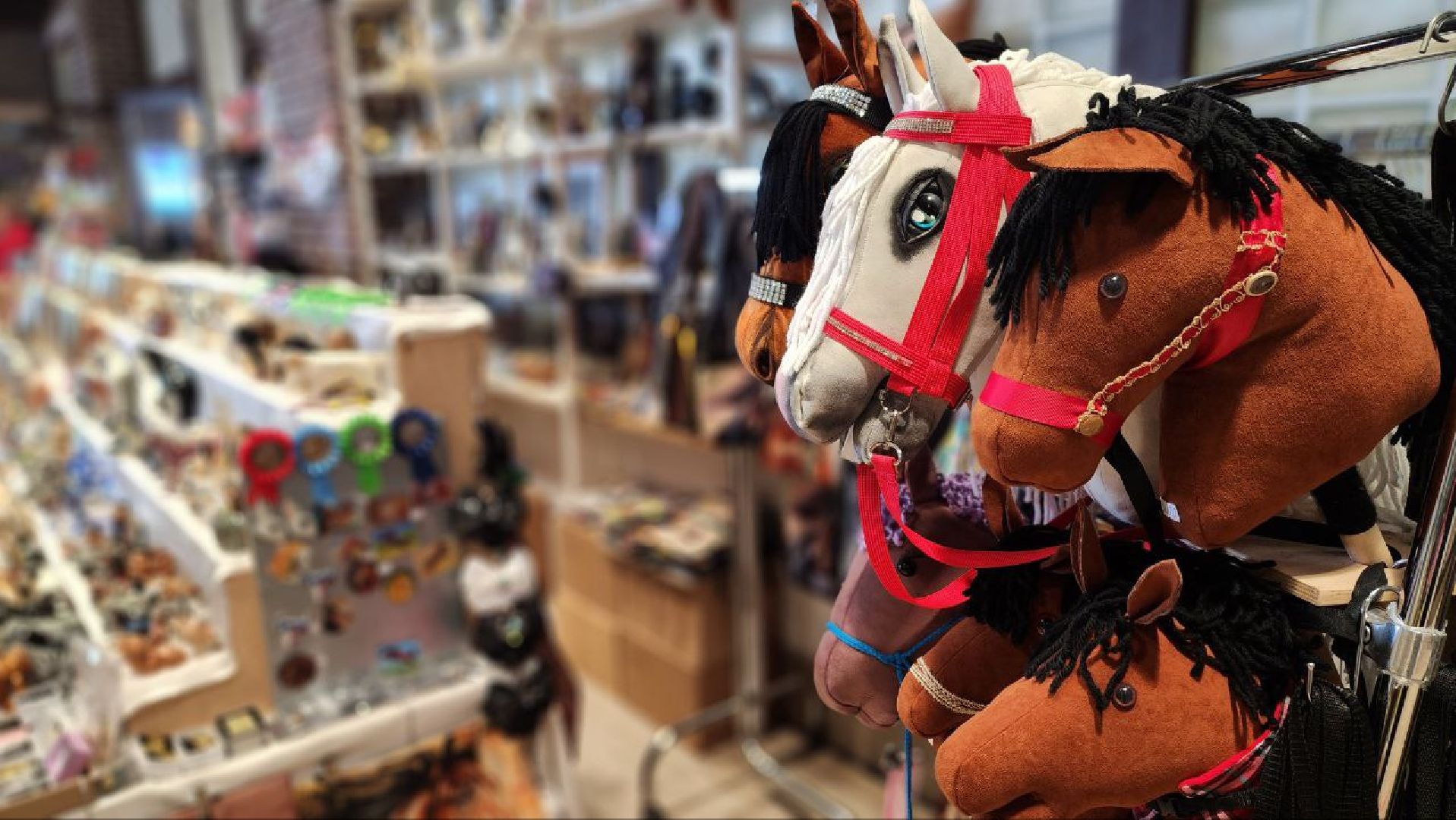 Дмитров, Максима Парк, Выставка Конная Россия,