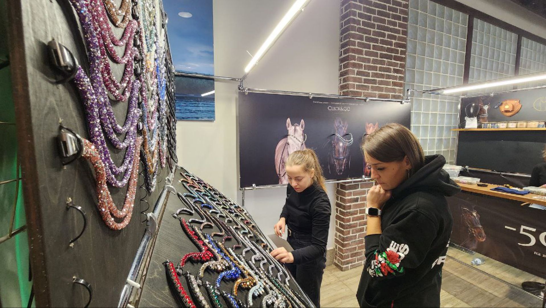 Дмитров, Максима Парк, Выставка Конная Россия,