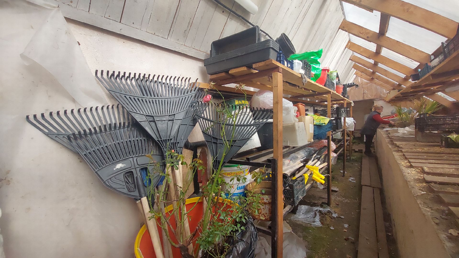 Мелихово, садовник, город чехов, Музей, Цветы, Благоустройство,