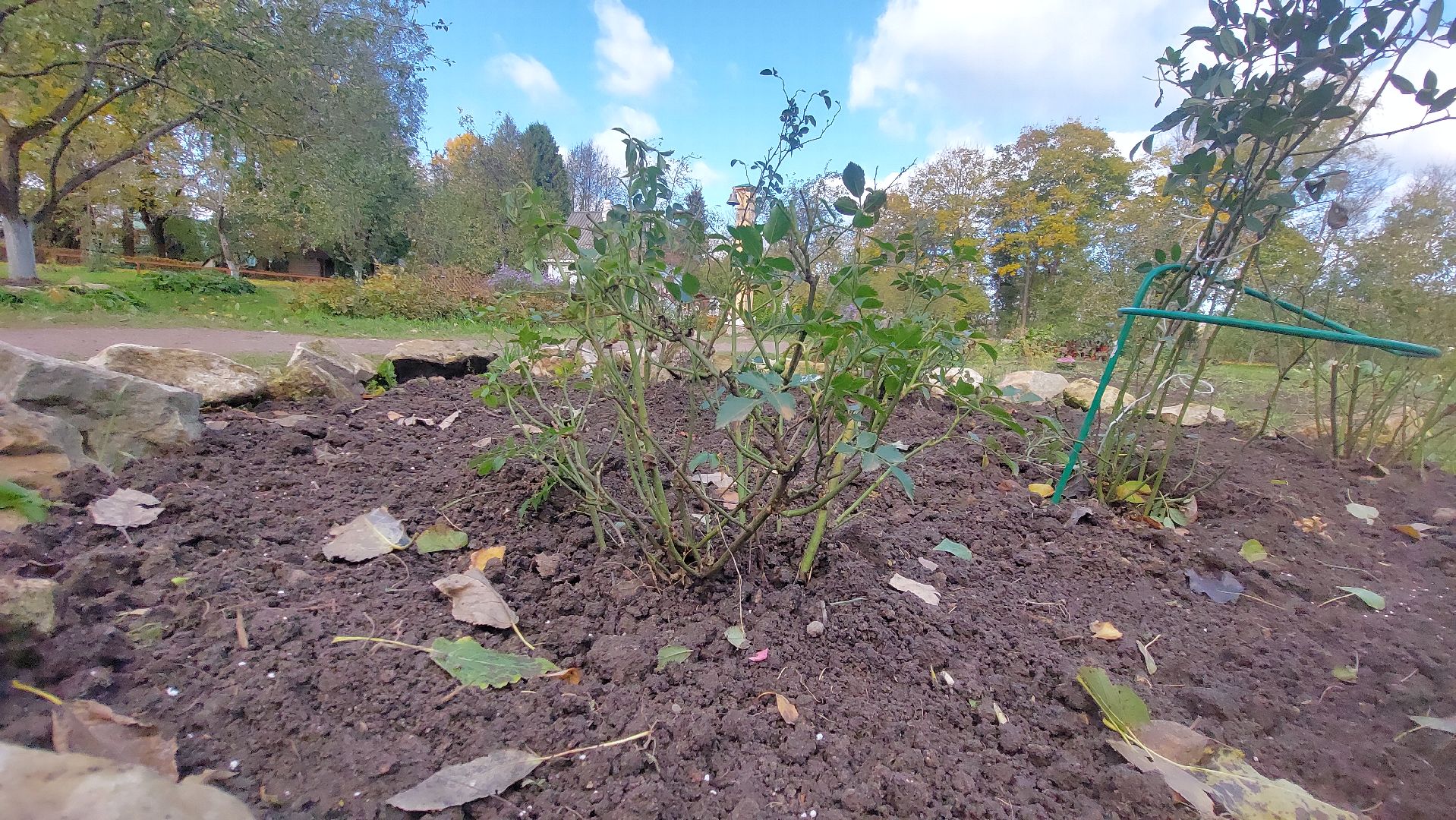 Мелихово, садовник, город чехов, Музей, Цветы, Благоустройство,
