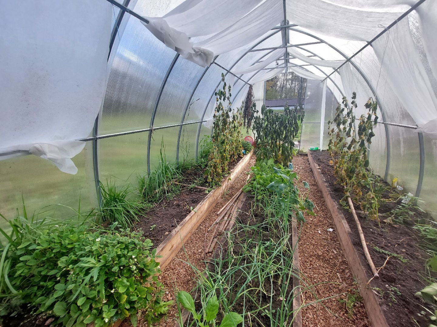 Мелихово, садовник, город чехов, Музей, Цветы, Благоустройство,