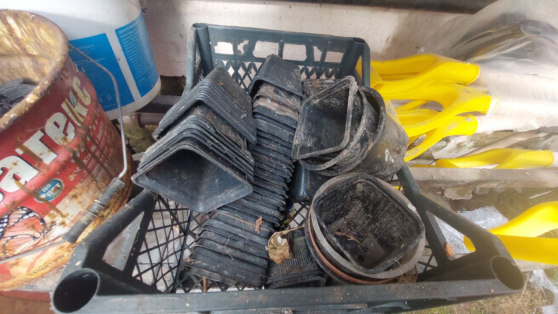 Мелихово, садовник, город чехов, Музей, Цветы, Благоустройство,