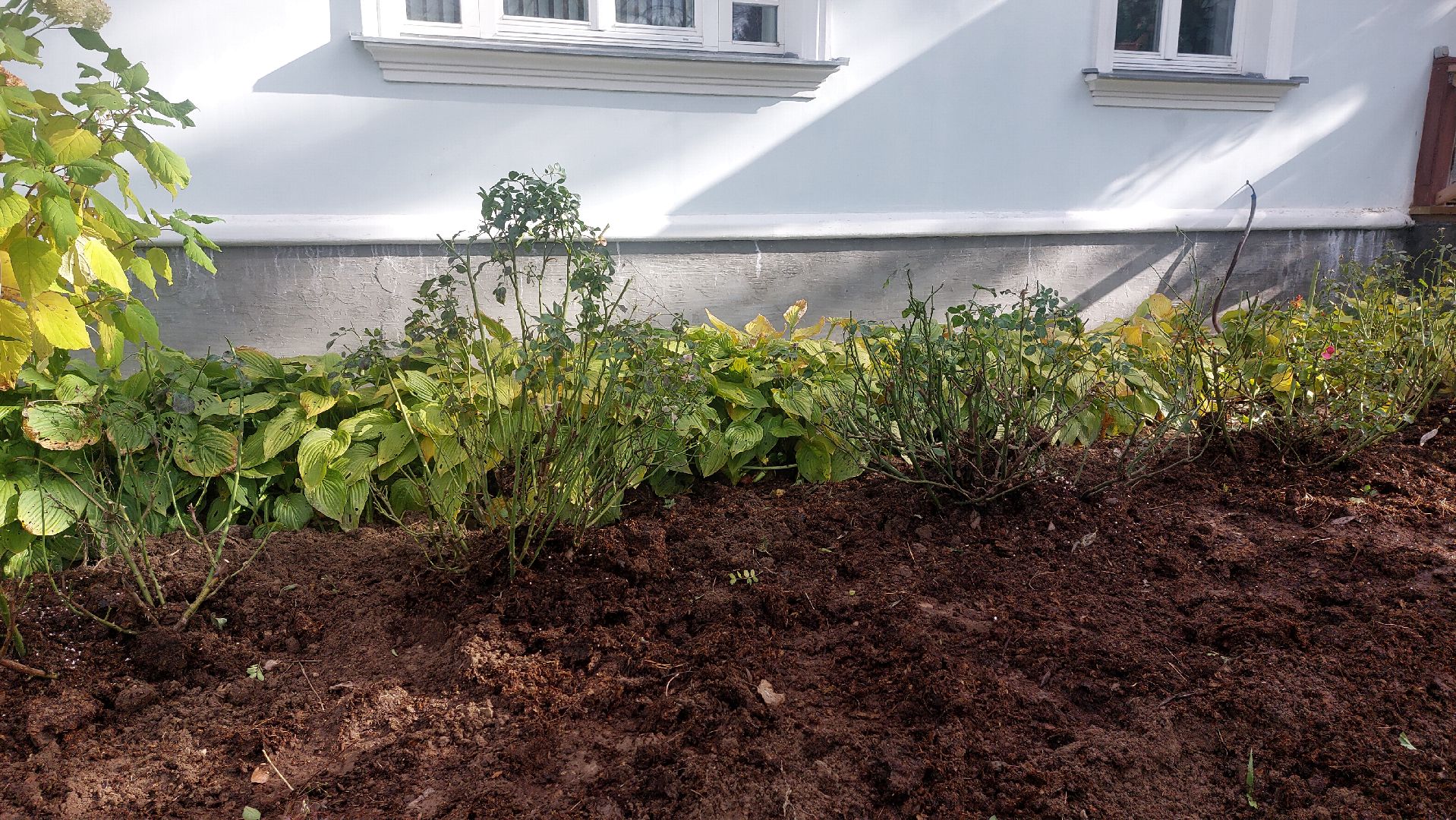 Мелихово, садовник, город чехов, Музей, Цветы, Благоустройство,