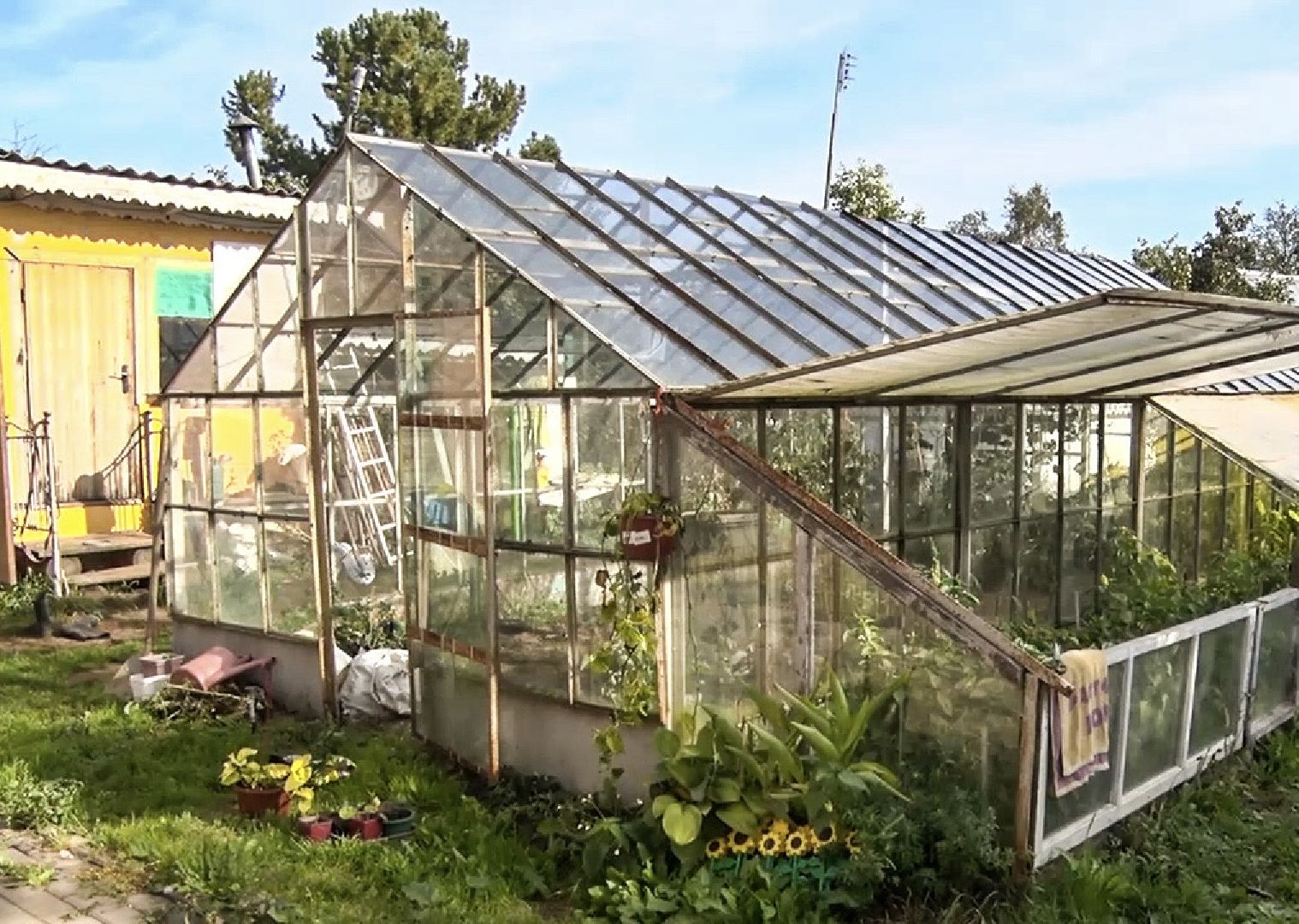 Клин, общество, люди, огород,