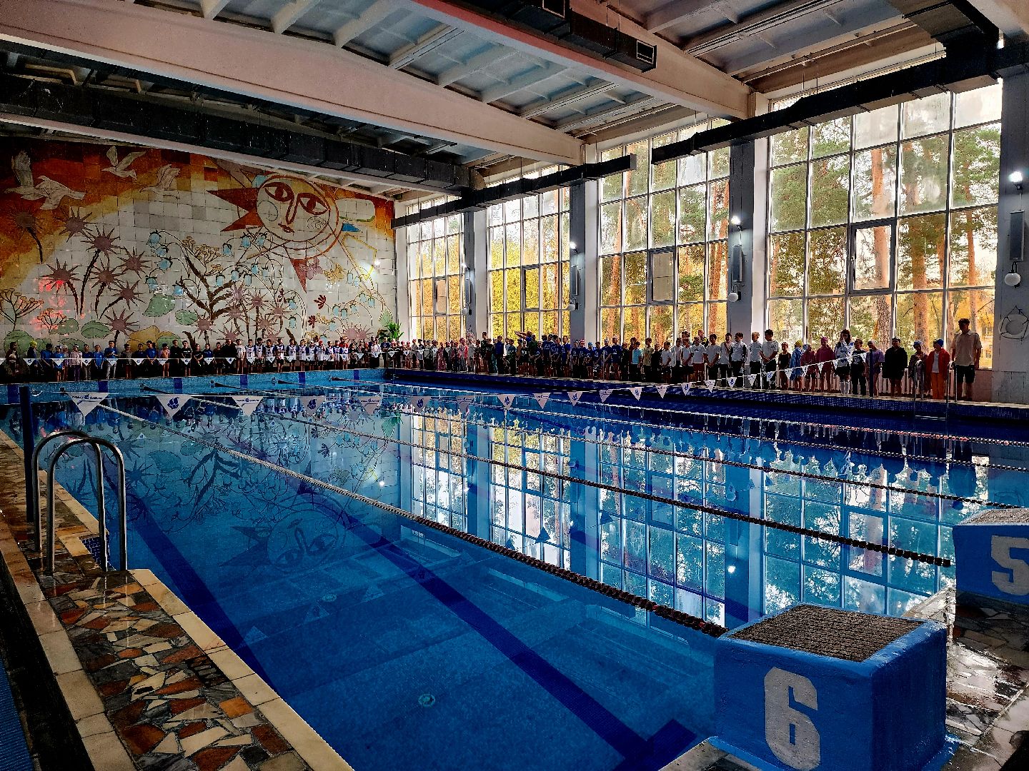 шатура, Дрезна, орехово-зуево, ликино-дулево, куровское, Владимир, турнир по плаванию, новая волна, рошаль, восточное Подмосковье,