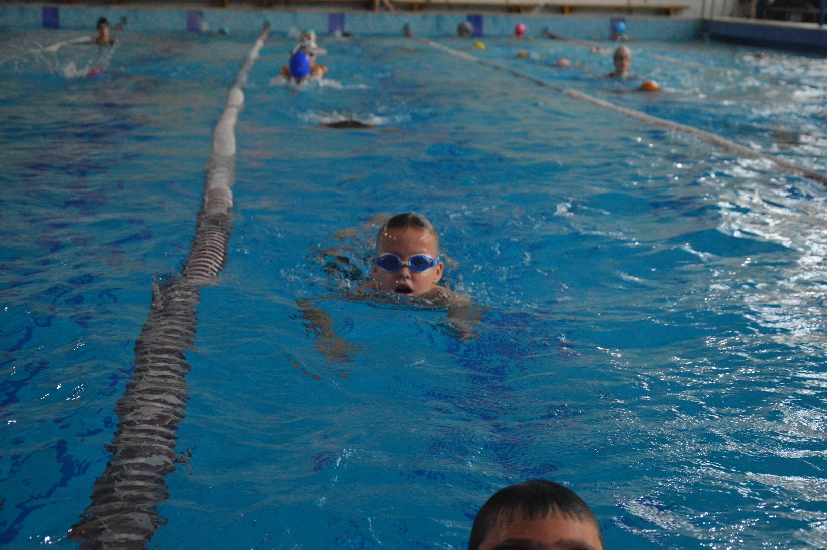 шатура, Дрезна, орехово-зуево, ликино-дулево, куровское, Владимир, турнир по плаванию, новая волна, рошаль, восточное Подмосковье,