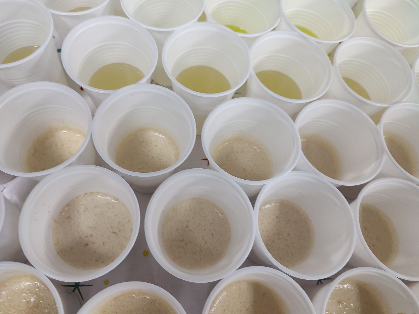 РДДМ, Талдом, форум, территорияразвития, волонтеры, выбор,