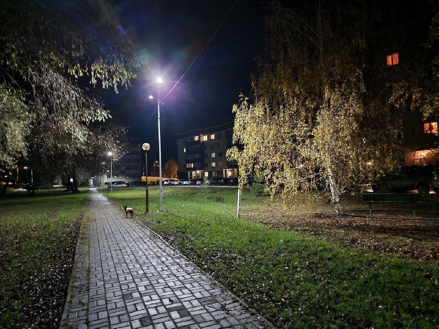 Серебряные Пруды, уличное освещение, светодиодные фонари, благоустройство, Комфортная городская среда,