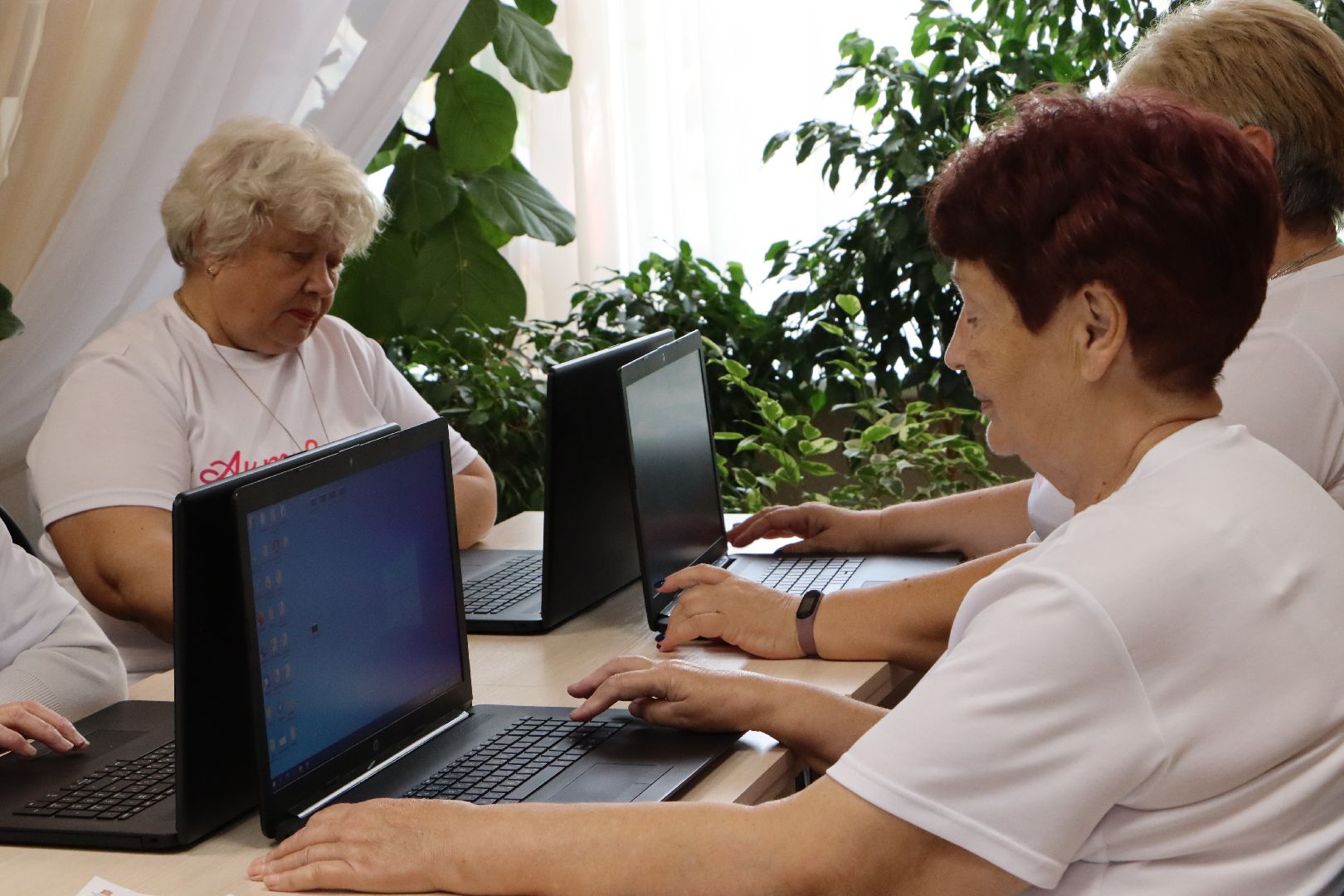 Серебряные Пруды, Цифровая грамотность, компьютерная грамотность, Активное долголетие,