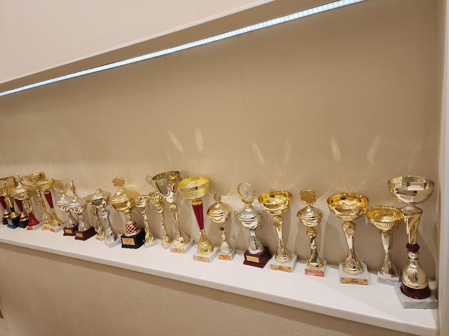 армрестлинг, спорт подмосковья, победы,