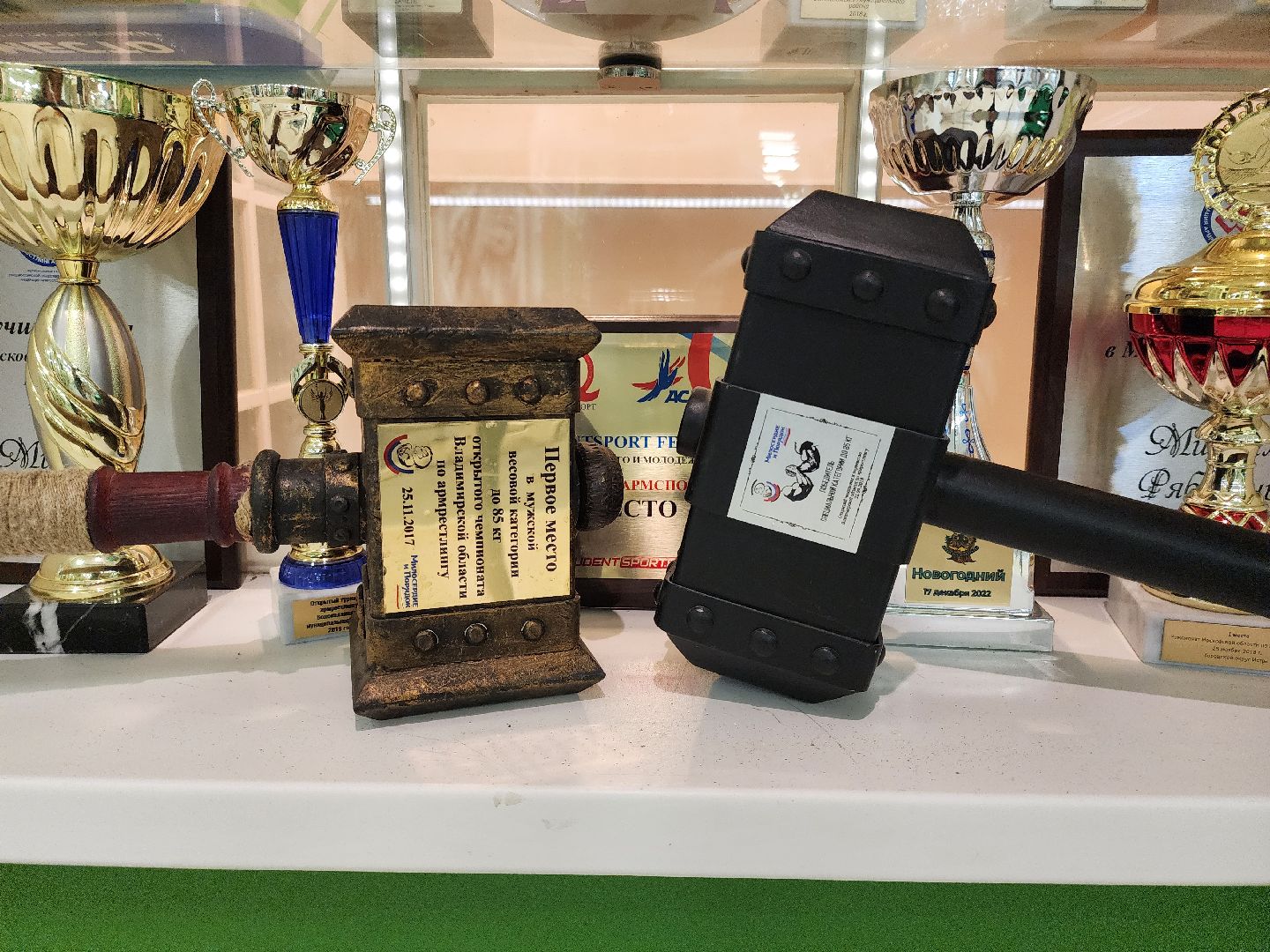 армрестлинг, спорт подмосковья, победы,