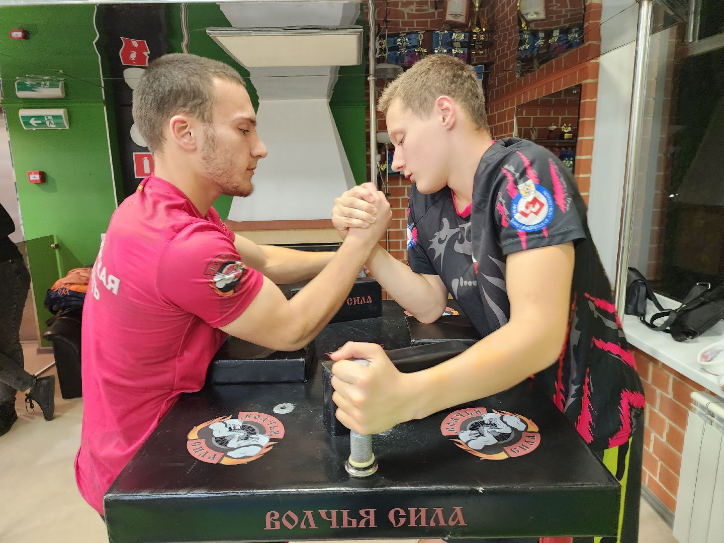 армрестлинг, спорт подмосковья, победы,