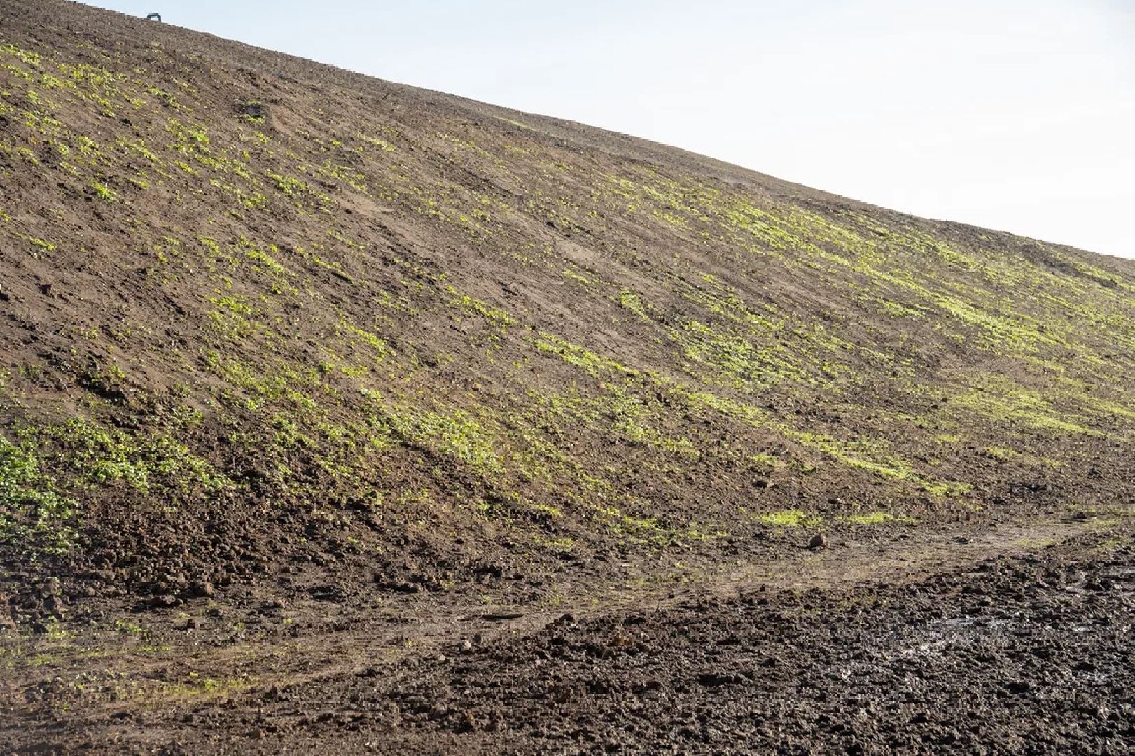 экология, полигон, рекультивация, заволенье, орехово-зуево,