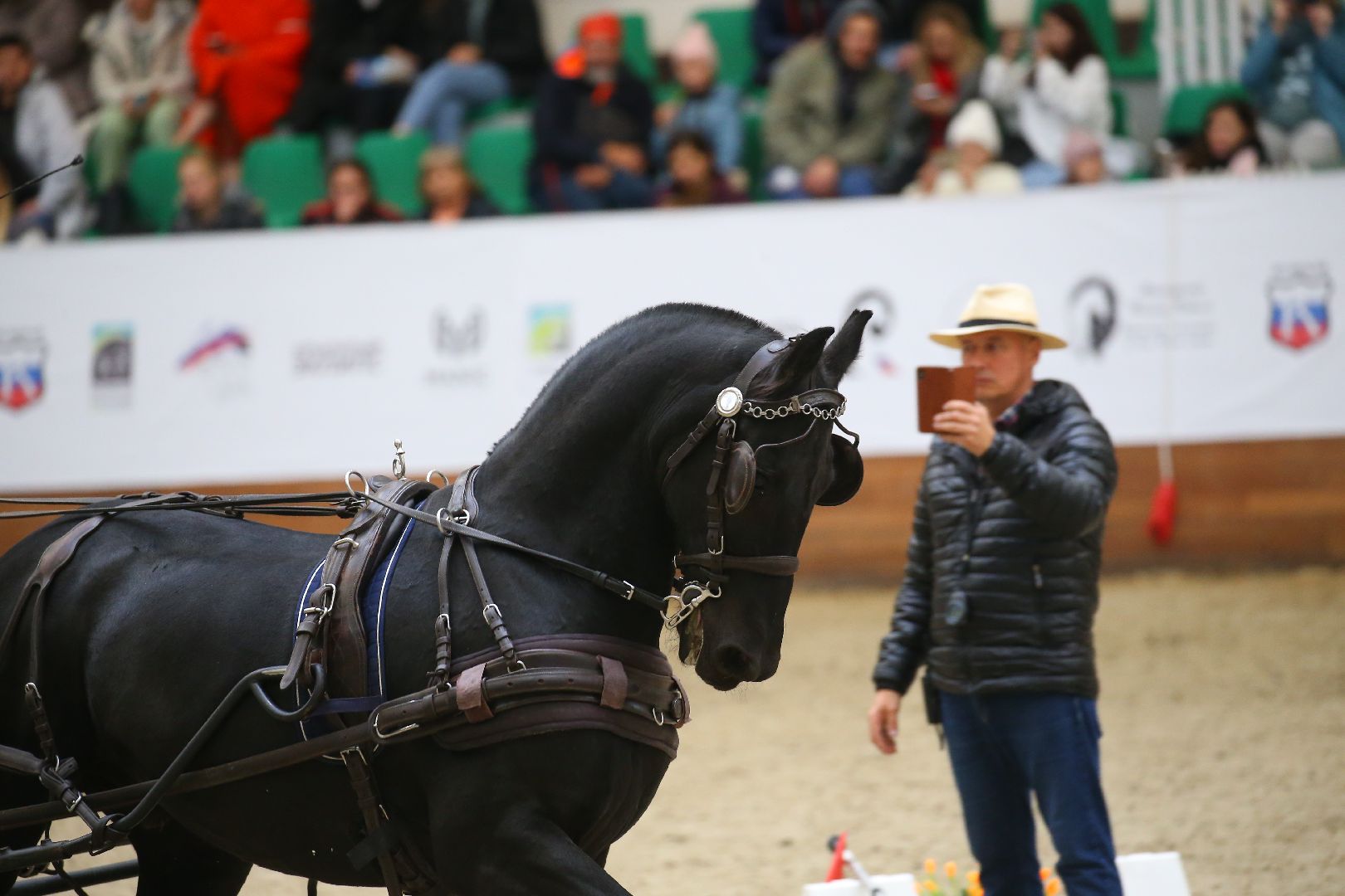 Дмитров, Максима Парк, Конная Россия,
