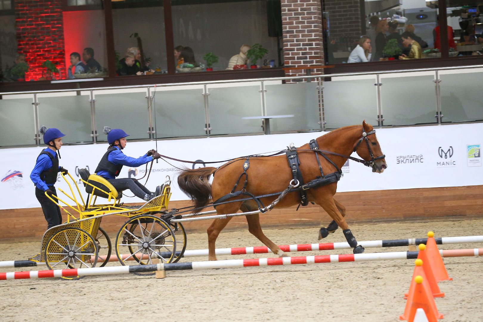 Дмитров, Максима Парк, Конная Россия,