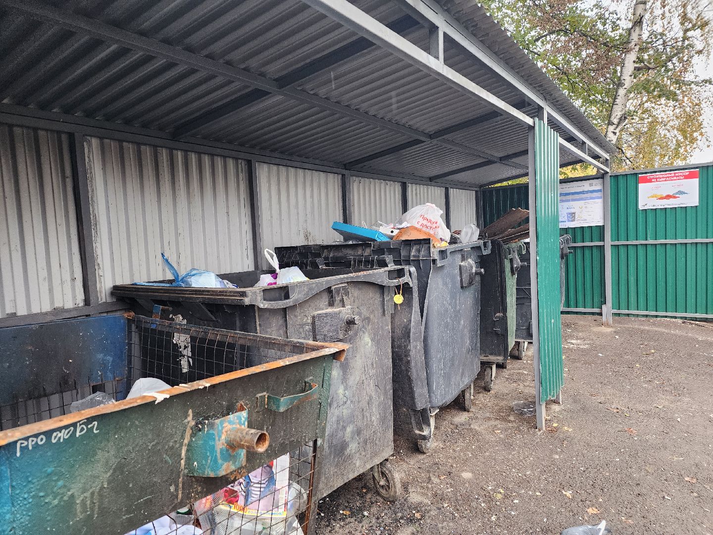 дедовск, Мусорка, контейнерная площадка,