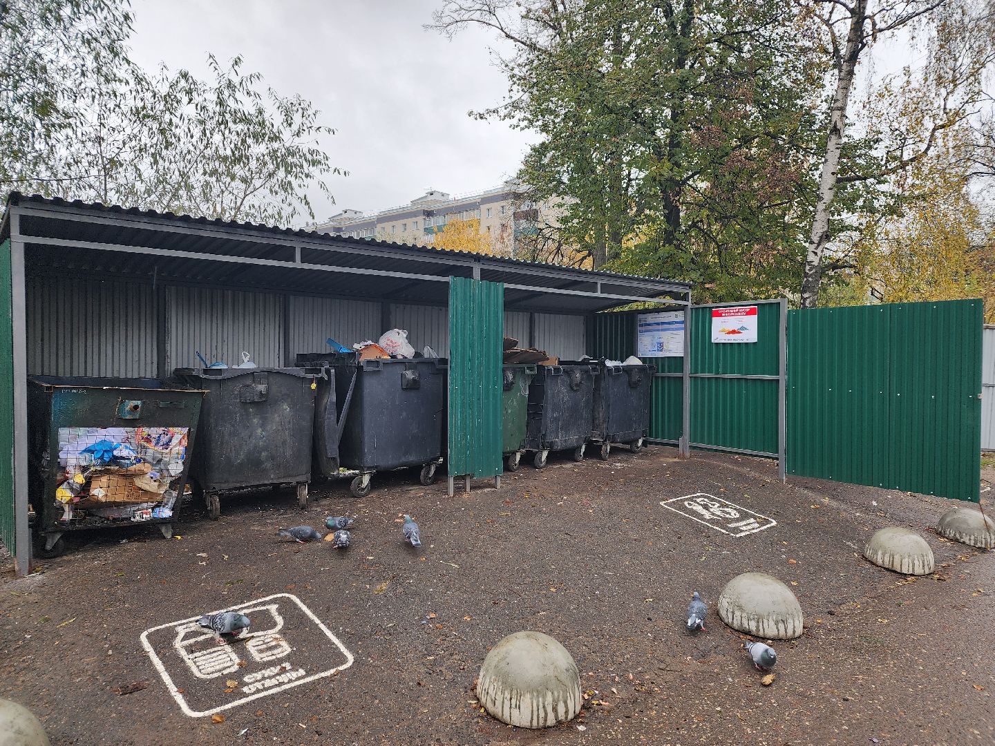 дедовск, Мусорка, контейнерная площадка,