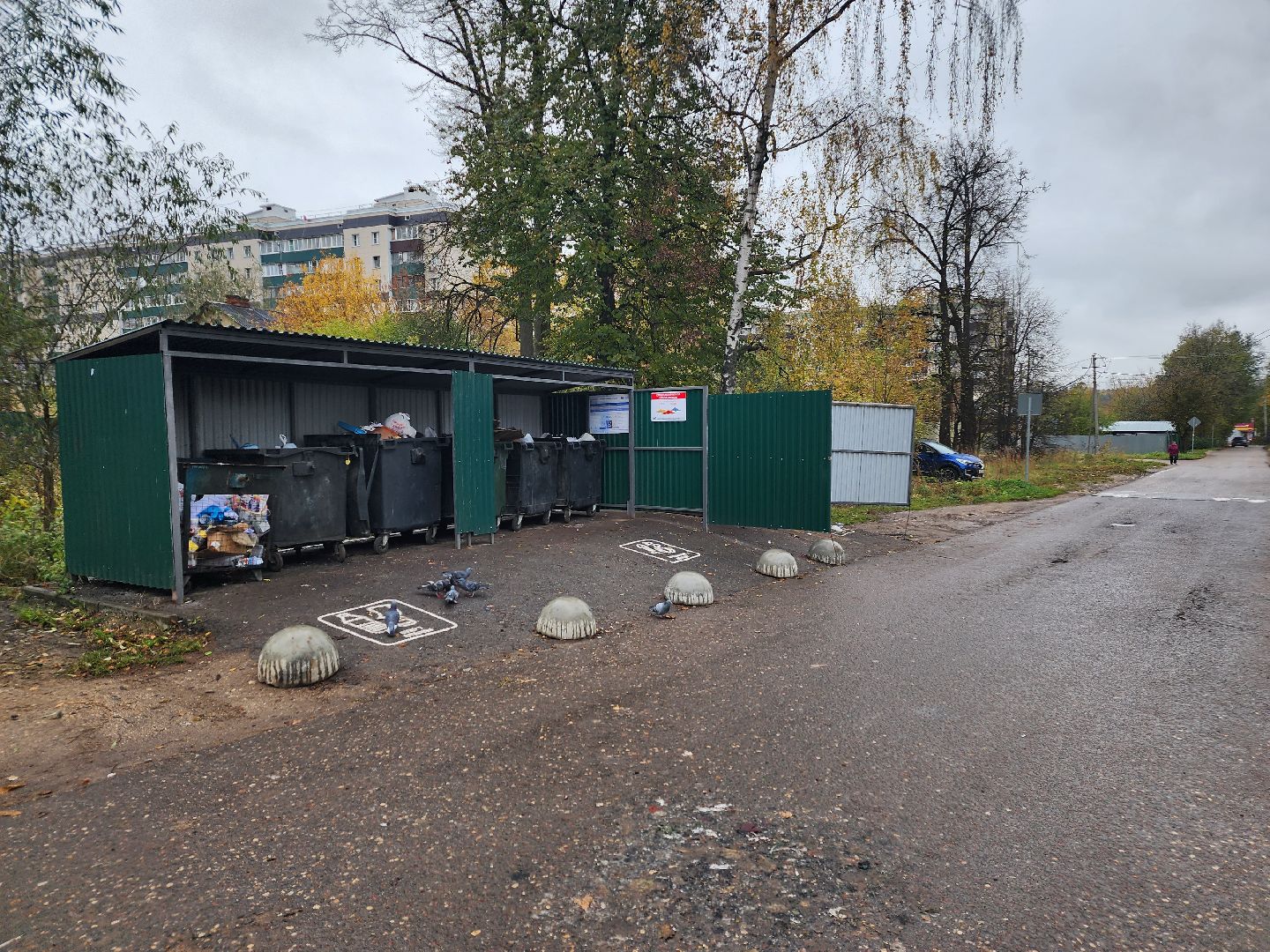 дедовск, Мусорка, контейнерная площадка,