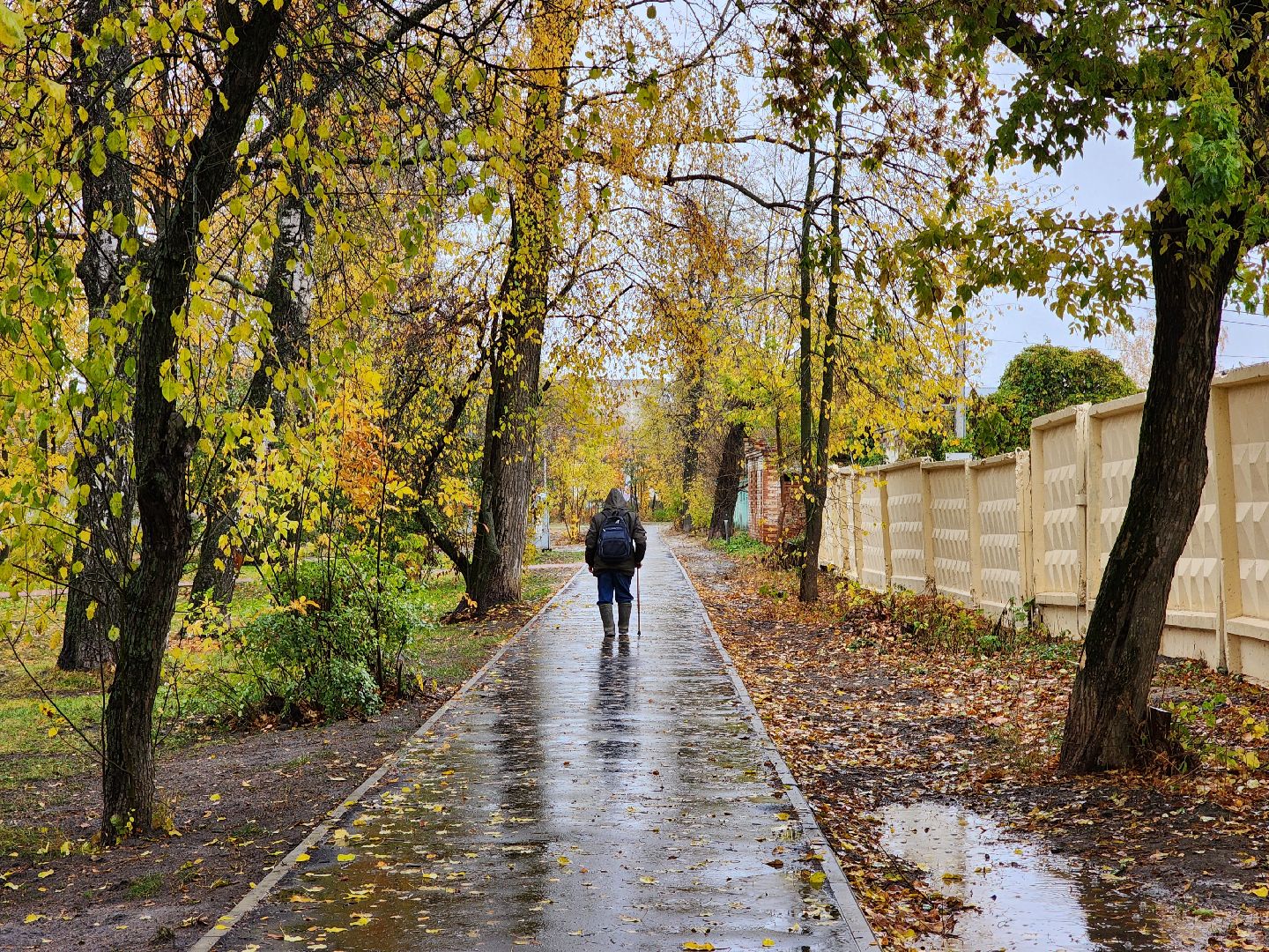 воскресенск, благоустройство, сквер, жители,