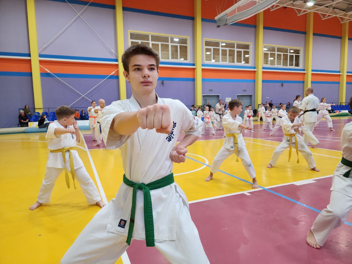 ступино, карате, шихан виктор апарин, ккушин-карате,