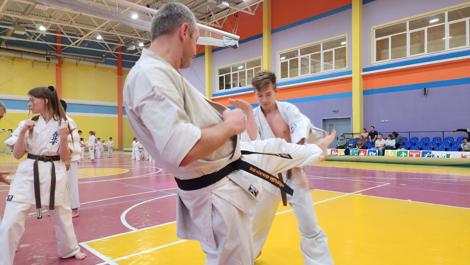 ступино, карате, шихан виктор апарин, ккушин-карате,