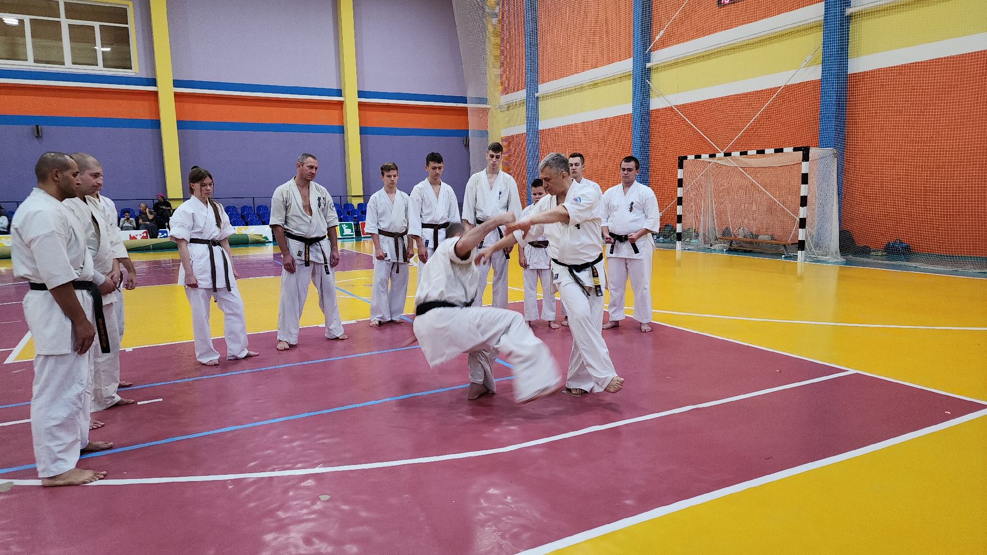 ступино, карате, шихан виктор апарин, ккушин-карате,