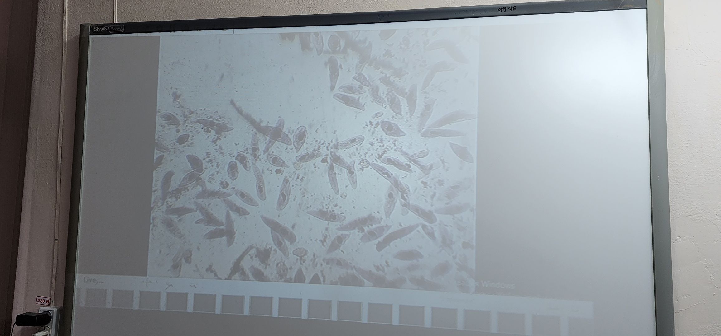 экологический проект, чистые водоемы, Востряковский лицей, Домодедово,