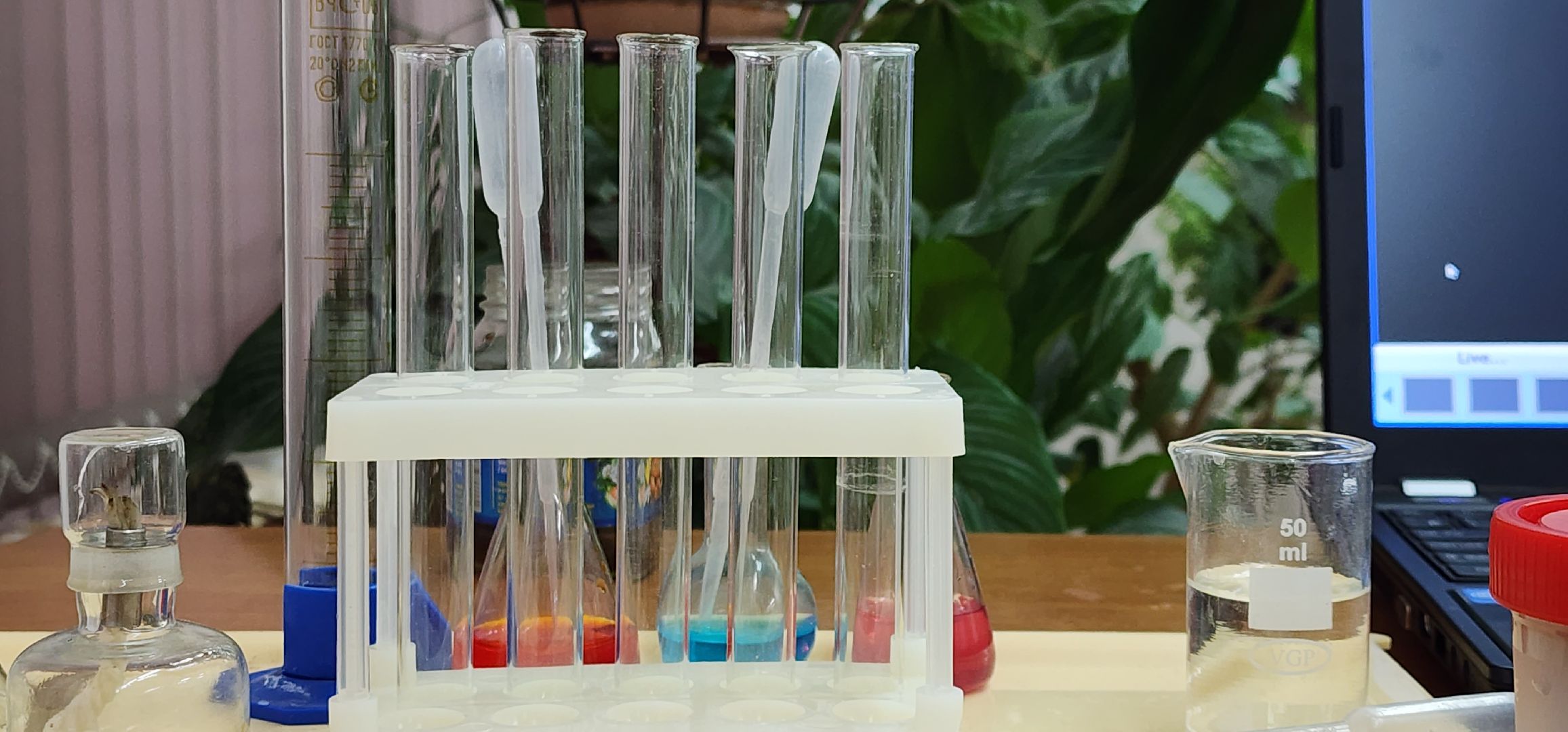 экологический проект, чистые водоемы, Востряковский лицей, Домодедово,