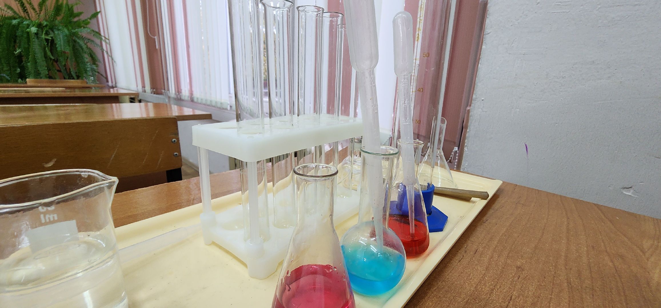 экологический проект, чистые водоемы, Востряковский лицей, Домодедово,