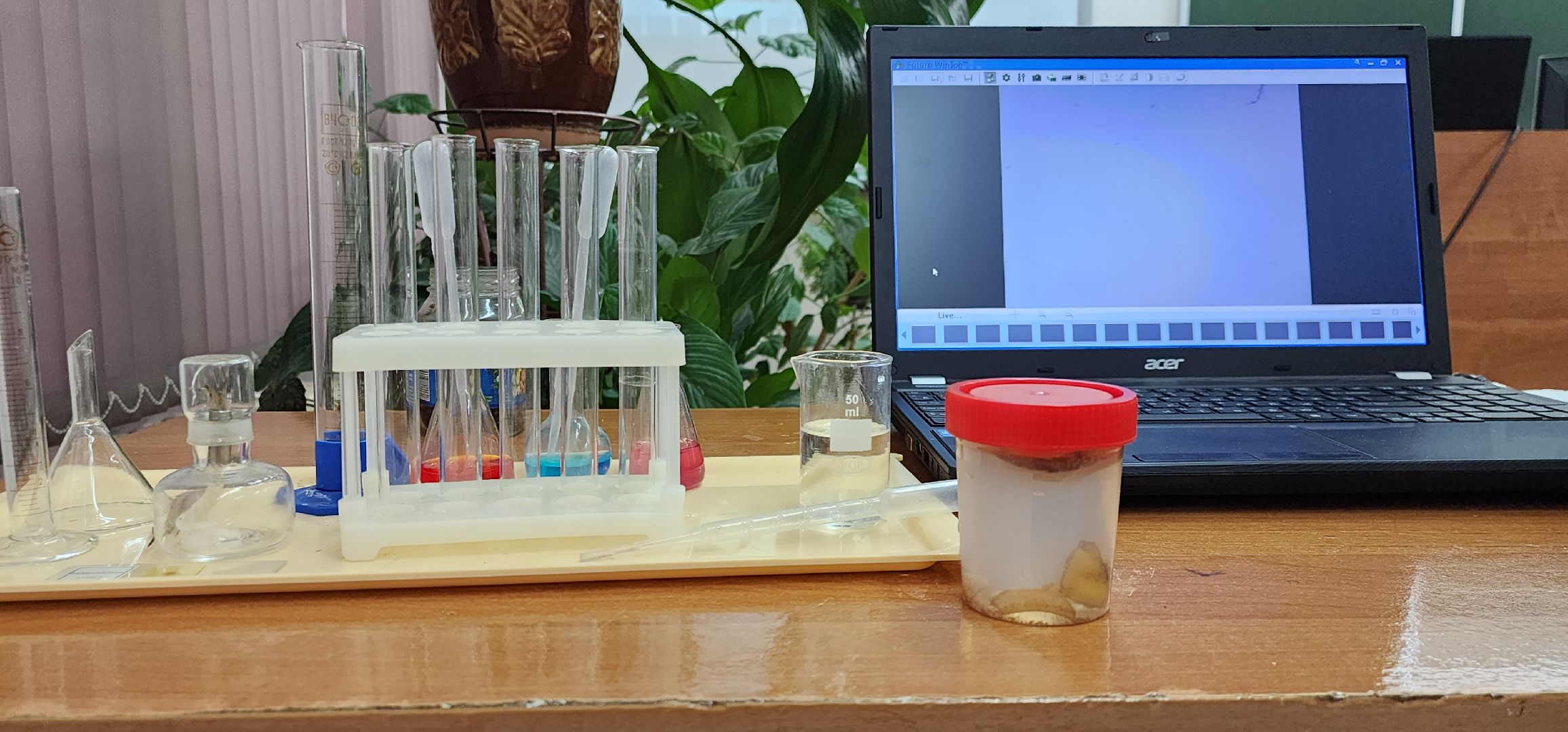 экологический проект, чистые водоемы, Востряковский лицей, Домодедово,