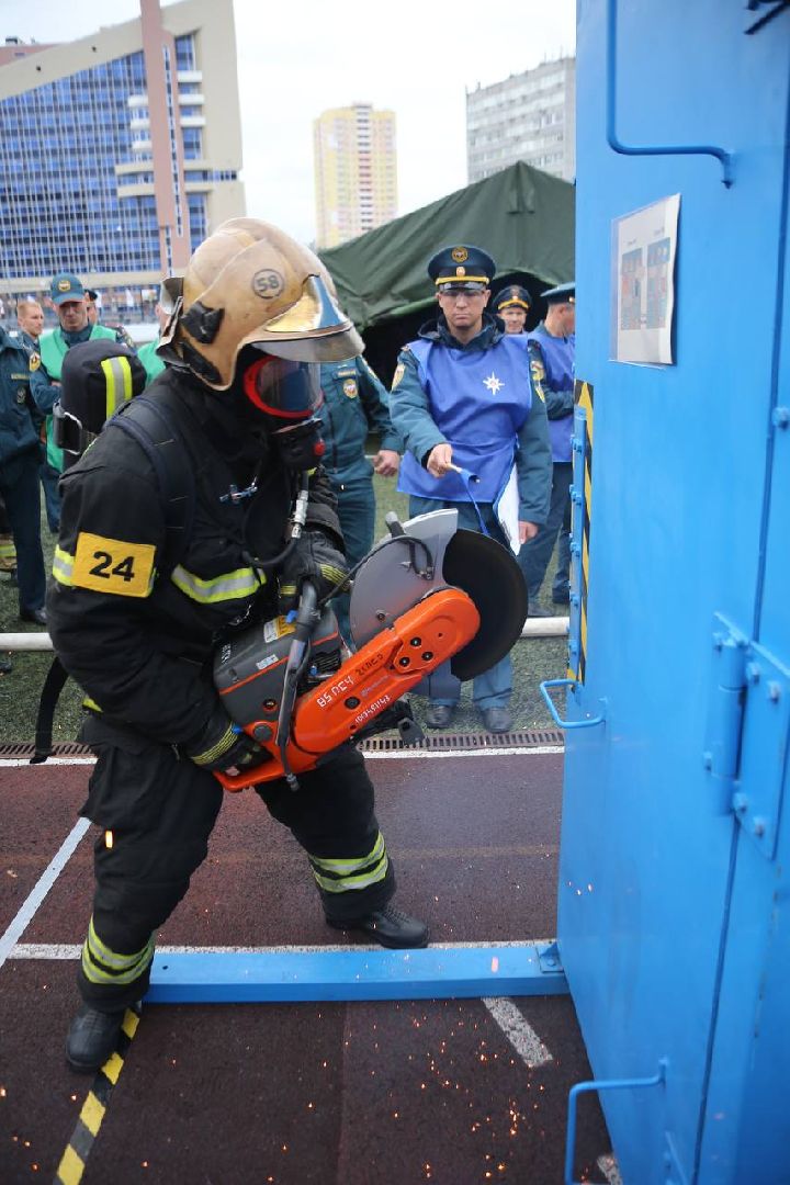 мчс россии, видное, начальник караула, достижение, успех,