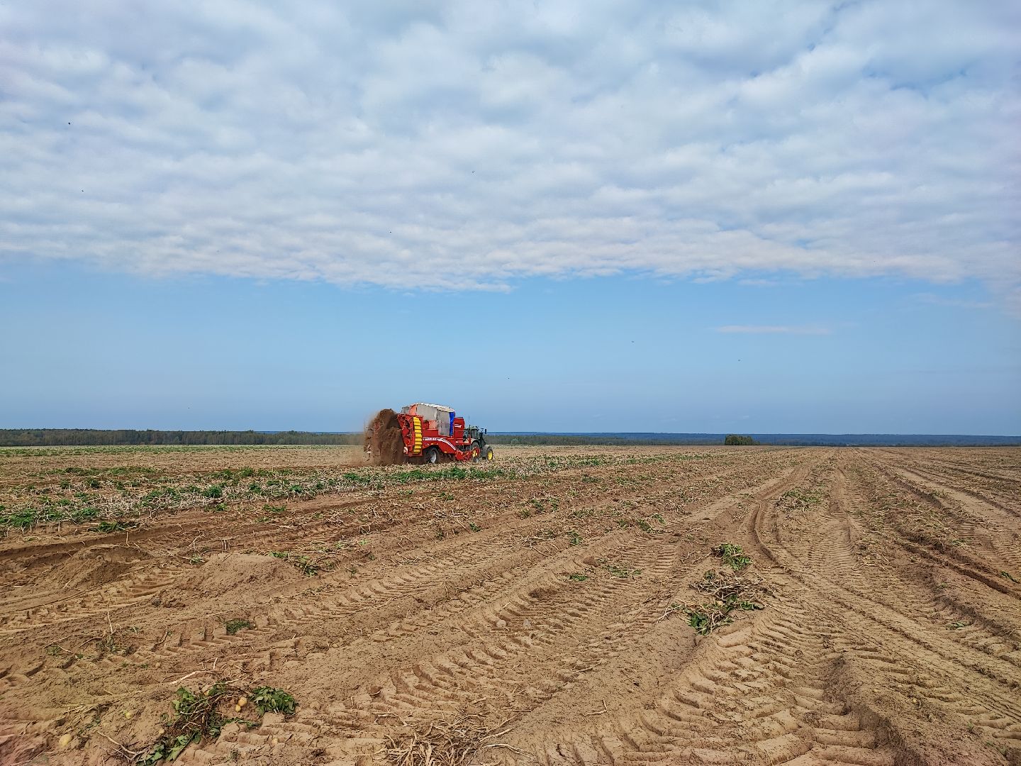 Клин, экономика, сельское хозяйство, люди, картофель,