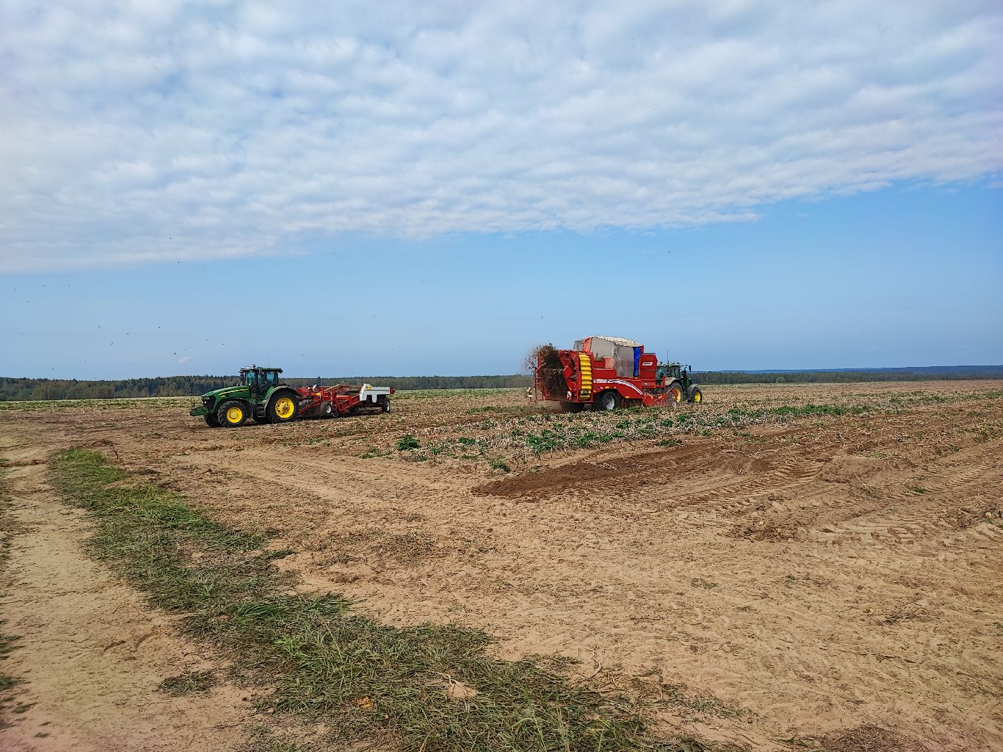 Клин, экономика, сельское хозяйство, люди, картофель,