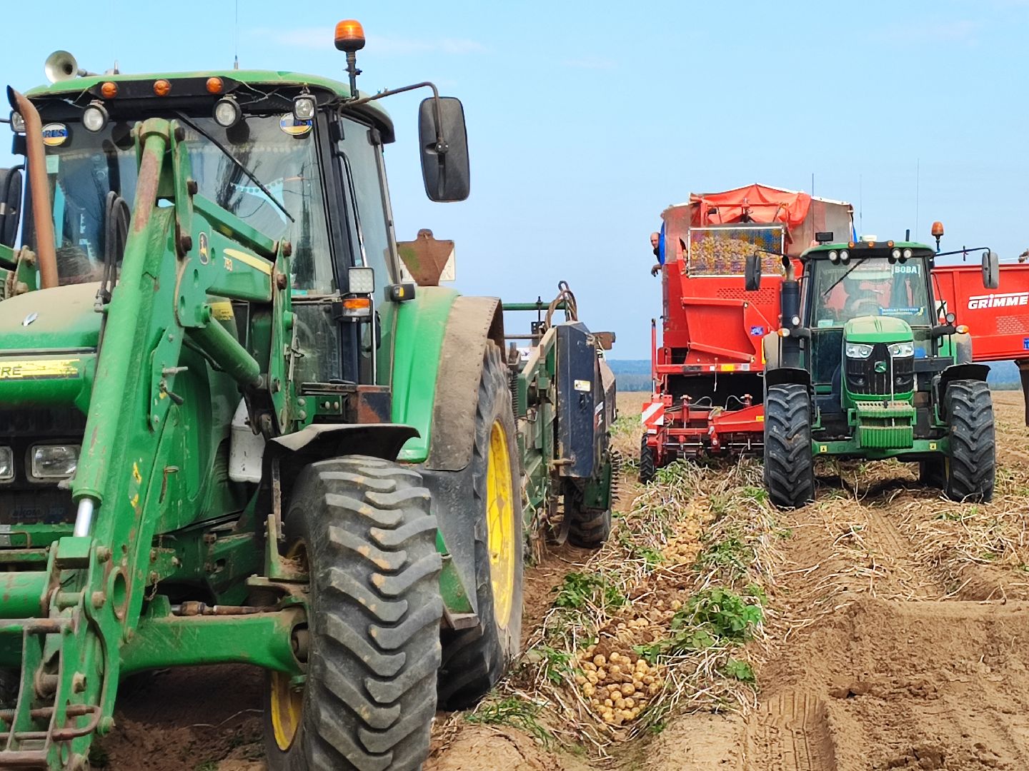 Клин, экономика, сельское хозяйство, люди, картофель,