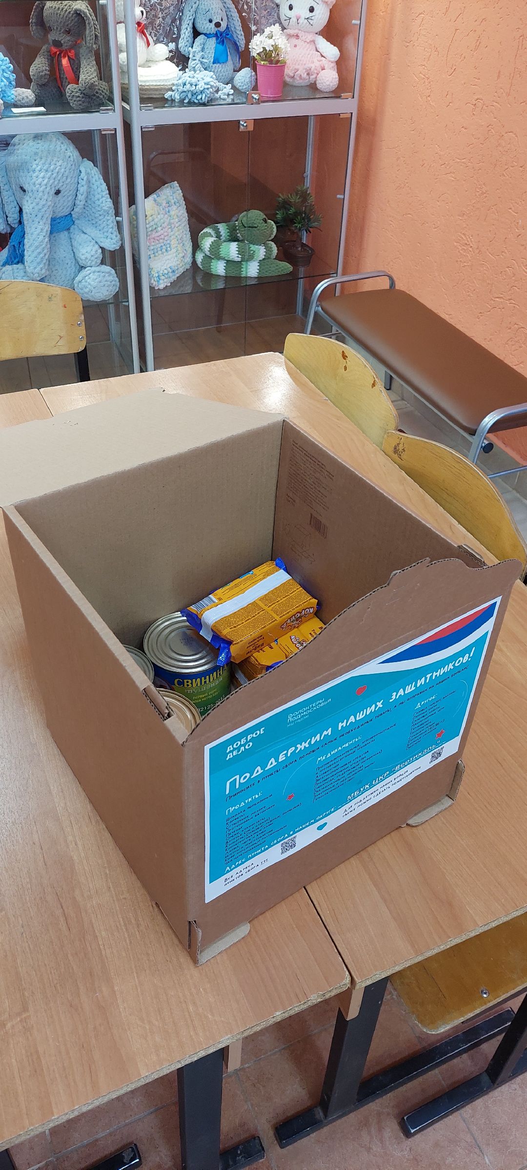 Пущино, волонтеры