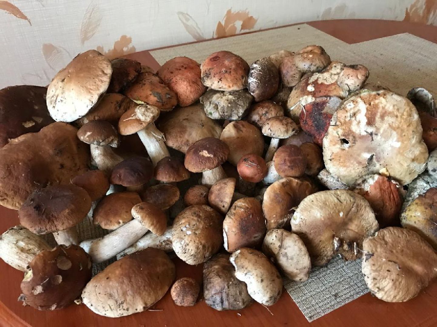 осень, грибы, лучшие рецепты, леса подмосковья, хобби,