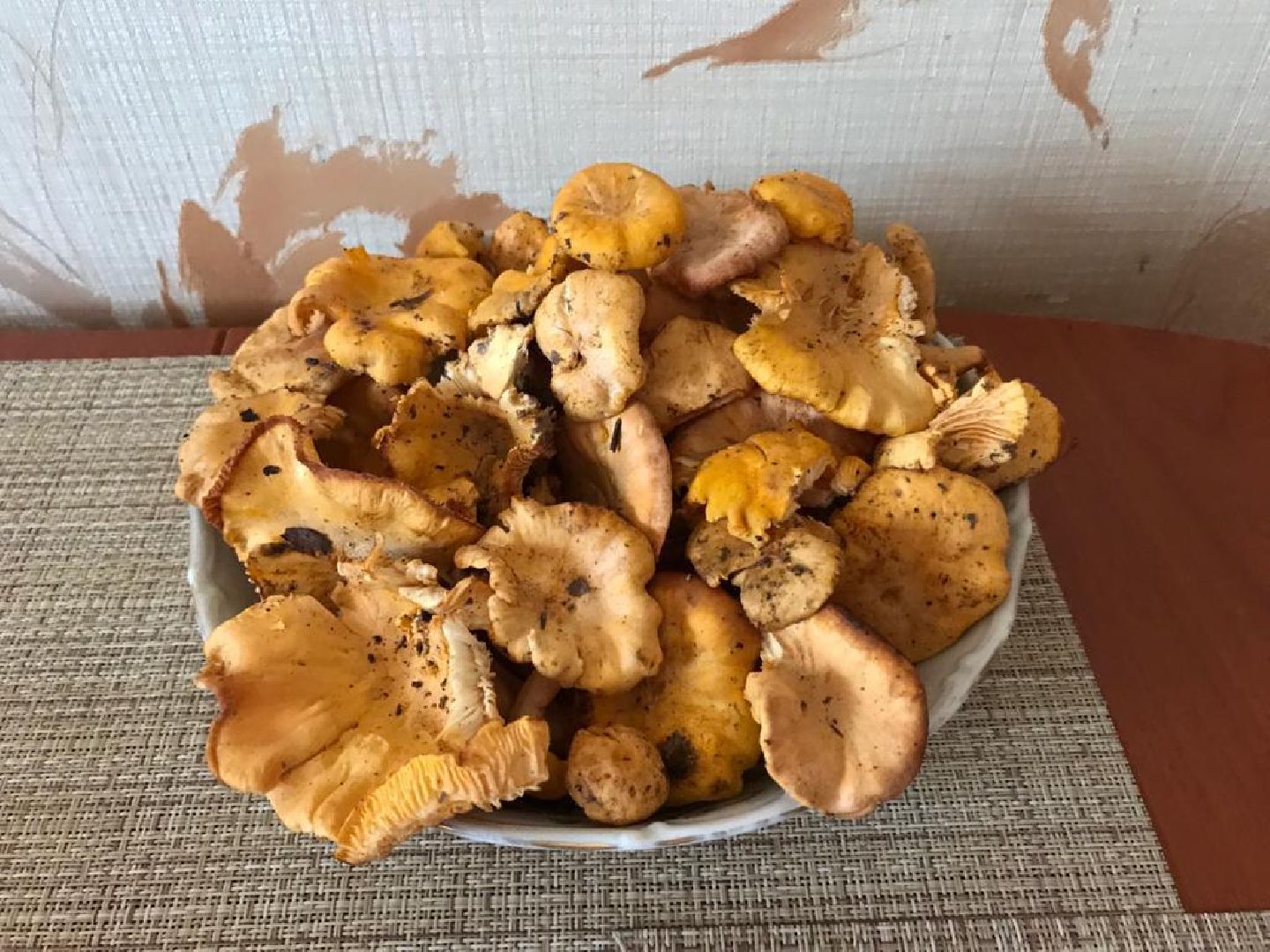 осень, грибы, лучшие рецепты, леса подмосковья, хобби,