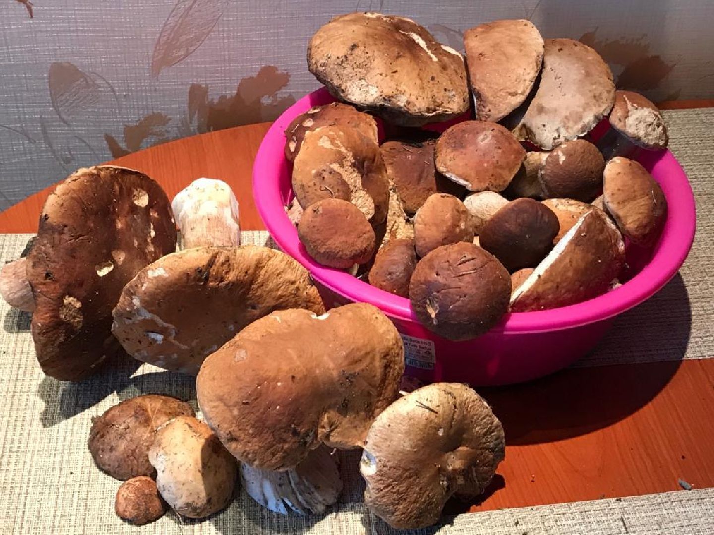 осень, грибы, лучшие рецепты, леса подмосковья, хобби,