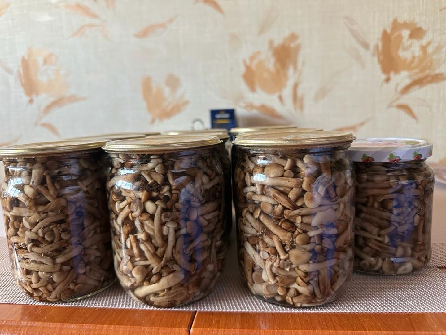 осень, грибы, лучшие рецепты, леса подмосковья, хобби,