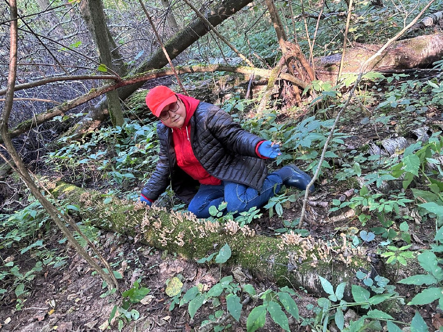 осень, грибы, лучшие рецепты, леса подмосковья, хобби,