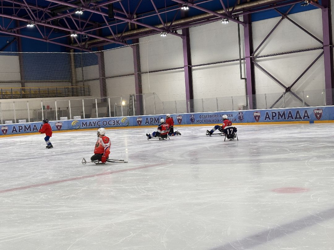 Одинцово, Спорт, Следж-хоккей, Селюкин, Адаптивный спорт