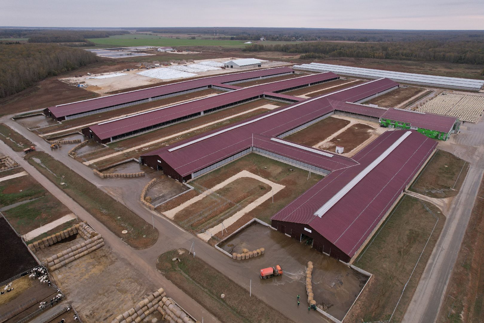 ступино, ферма, коровы,видео с коптера,