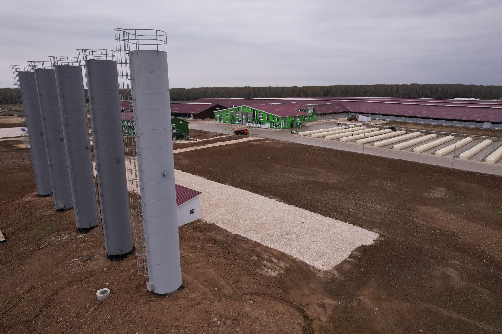 ступино, ферма, коровы,видео с коптера,