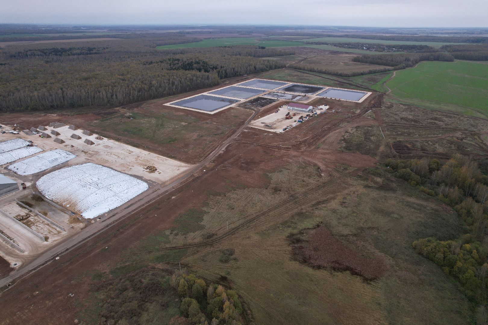 ступино, ферма, коровы,видео с коптера,