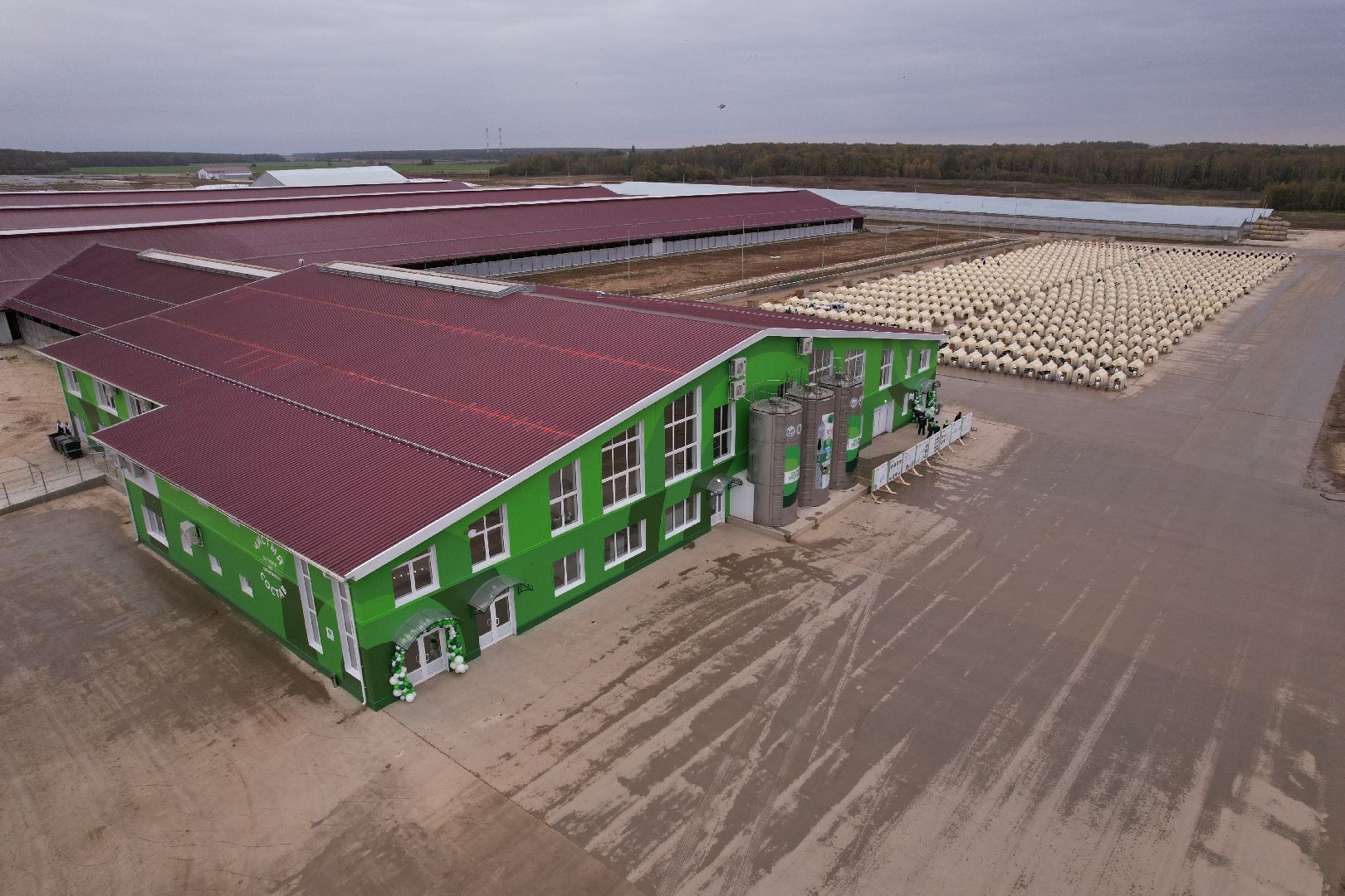 ступино, ферма, коровы,видео с коптера,