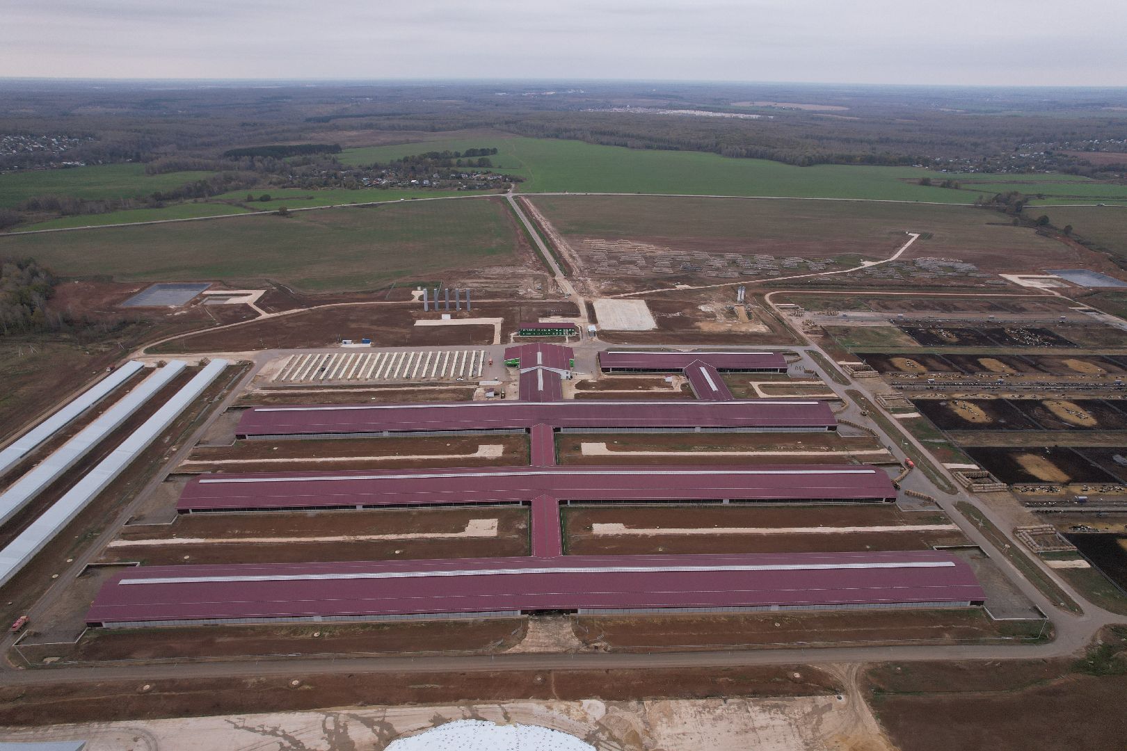 ступино, ферма, коровы,видео с коптера,